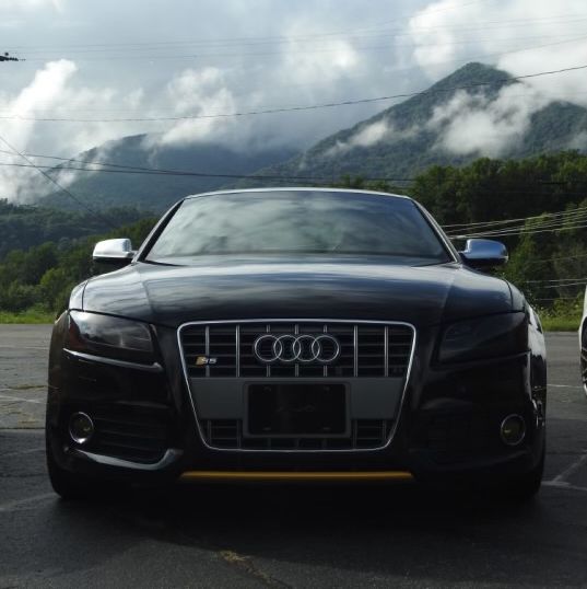 Profile of Richard Dara