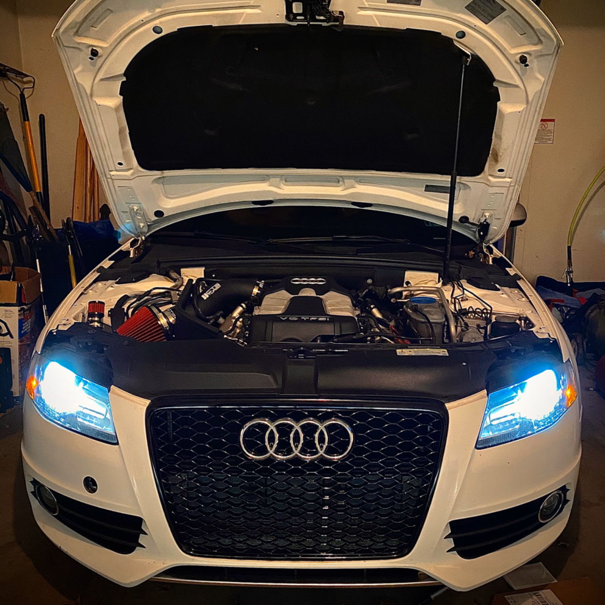 Profile of Zag Wimmer