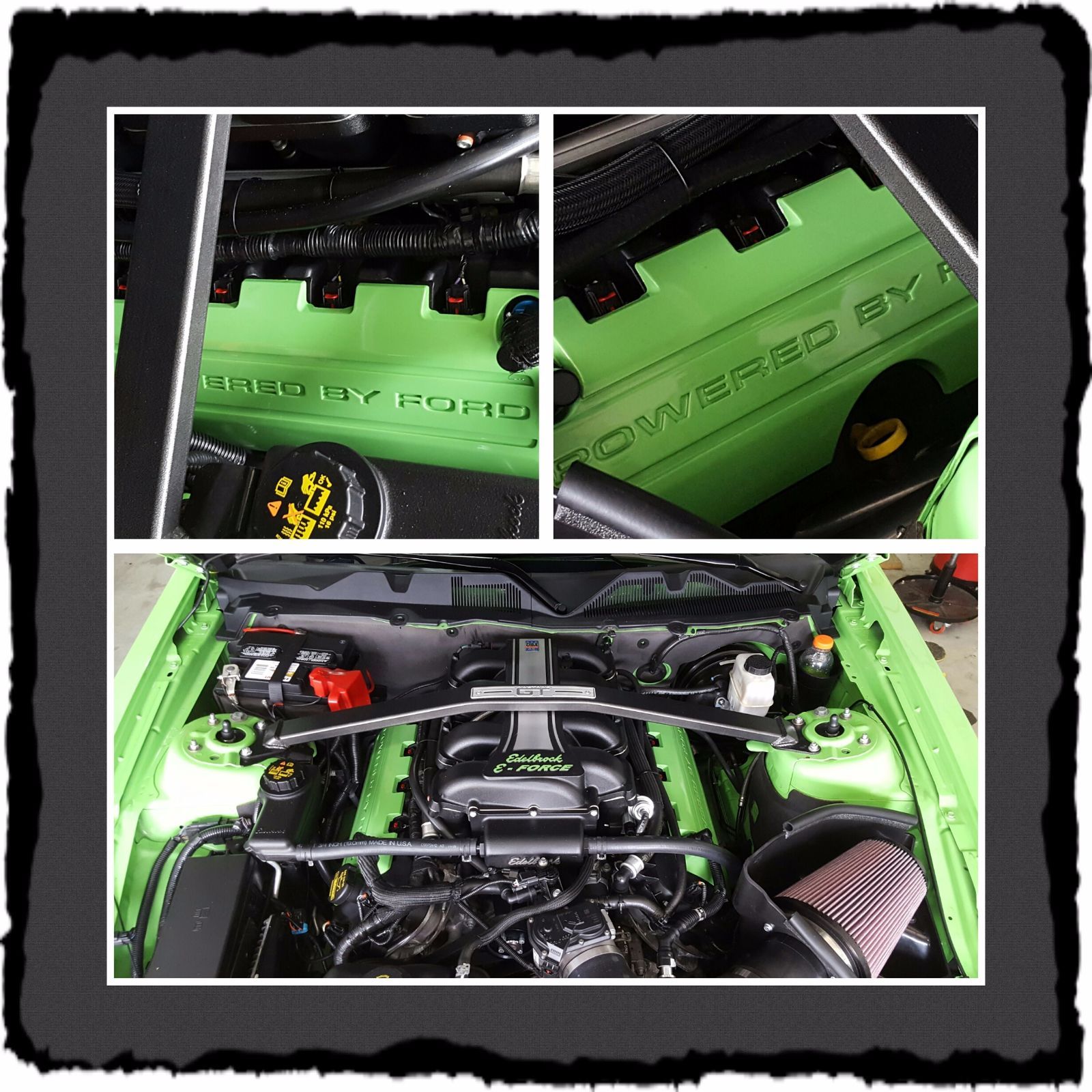 Profile of Alan Fernandez