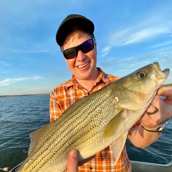 Profile of Collins Reynolds