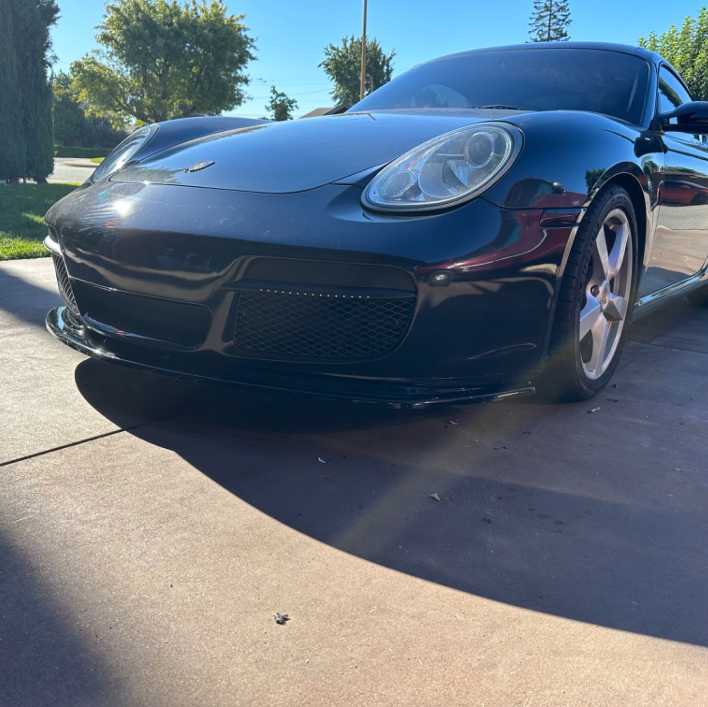 Profile of Max Montorro