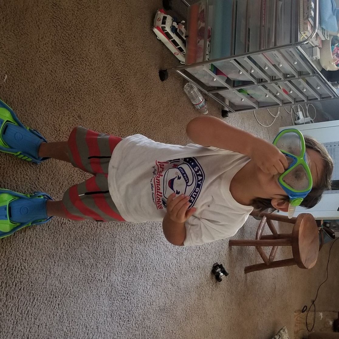 Profile of Patrick Dougherty