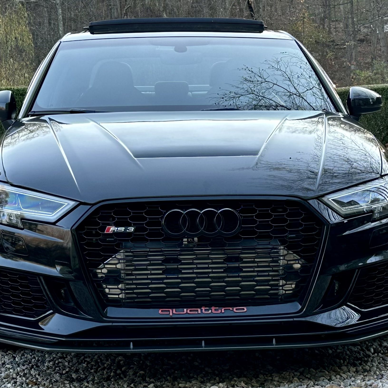 Profile of Mark Giuliani