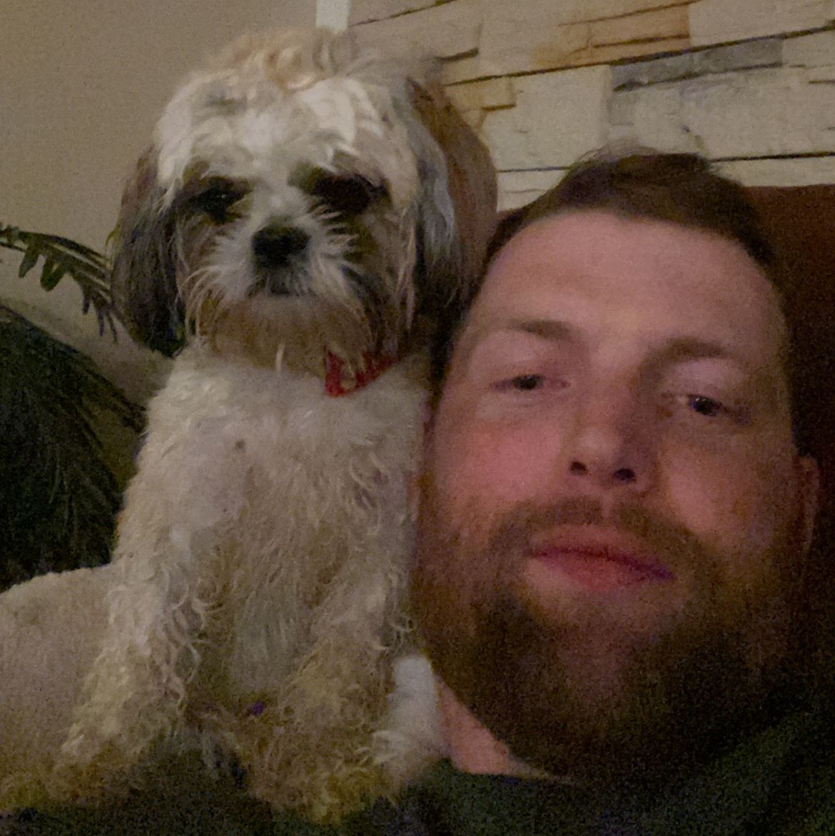 Profile of Dustin Heiner