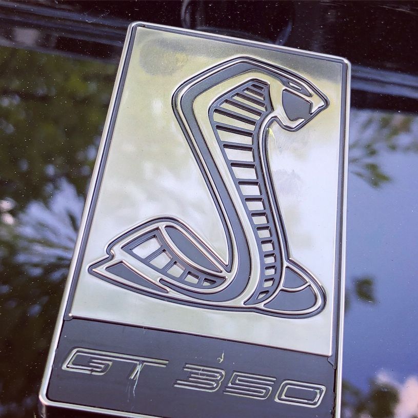 Profile of Shengmin Shi