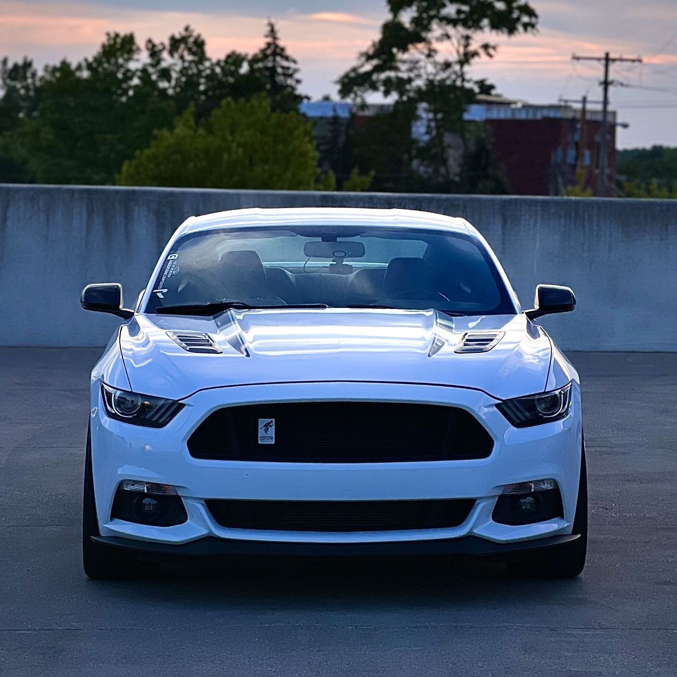 Profile of Dane Underwood