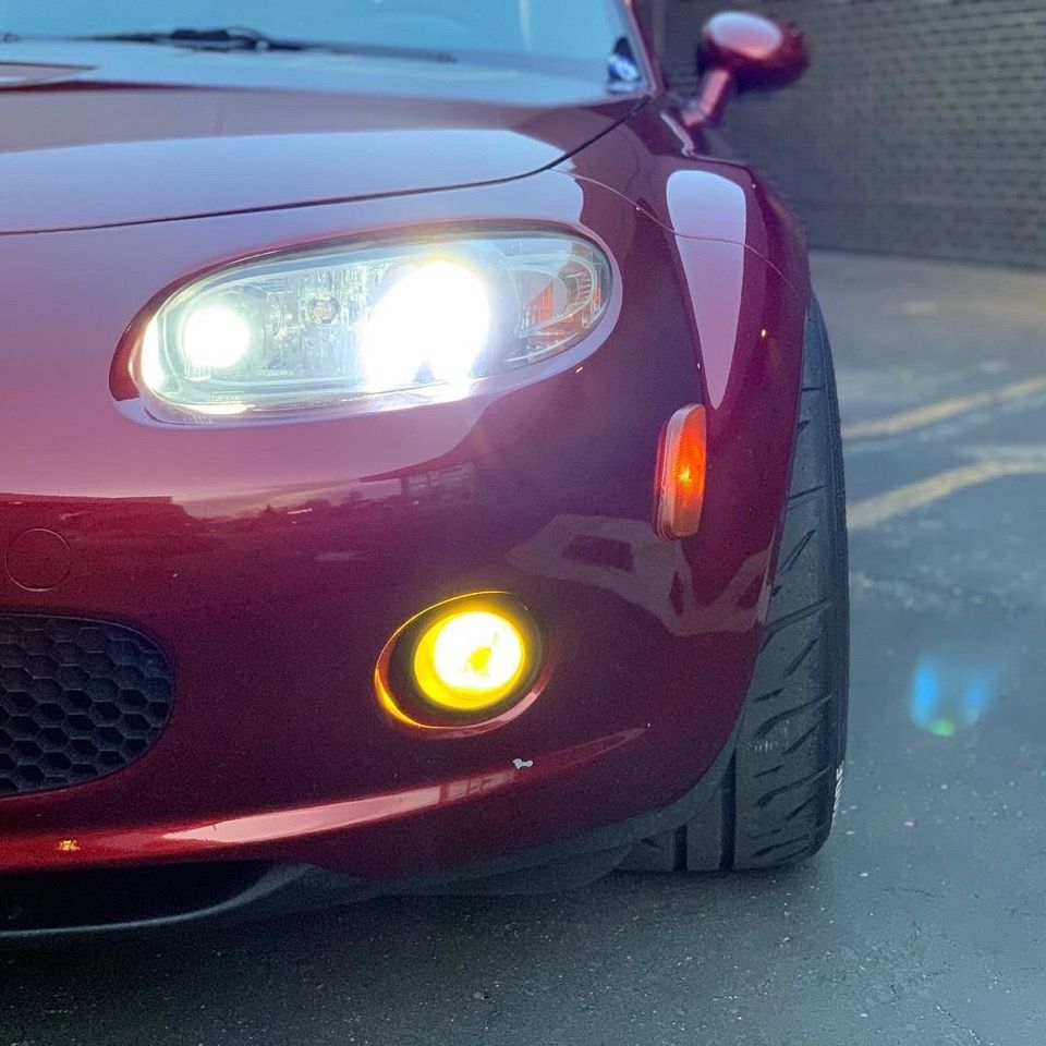 Profile of Simone Eid