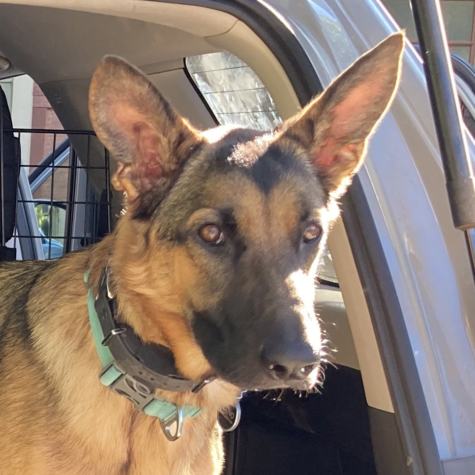 Profile of Peter Wheary