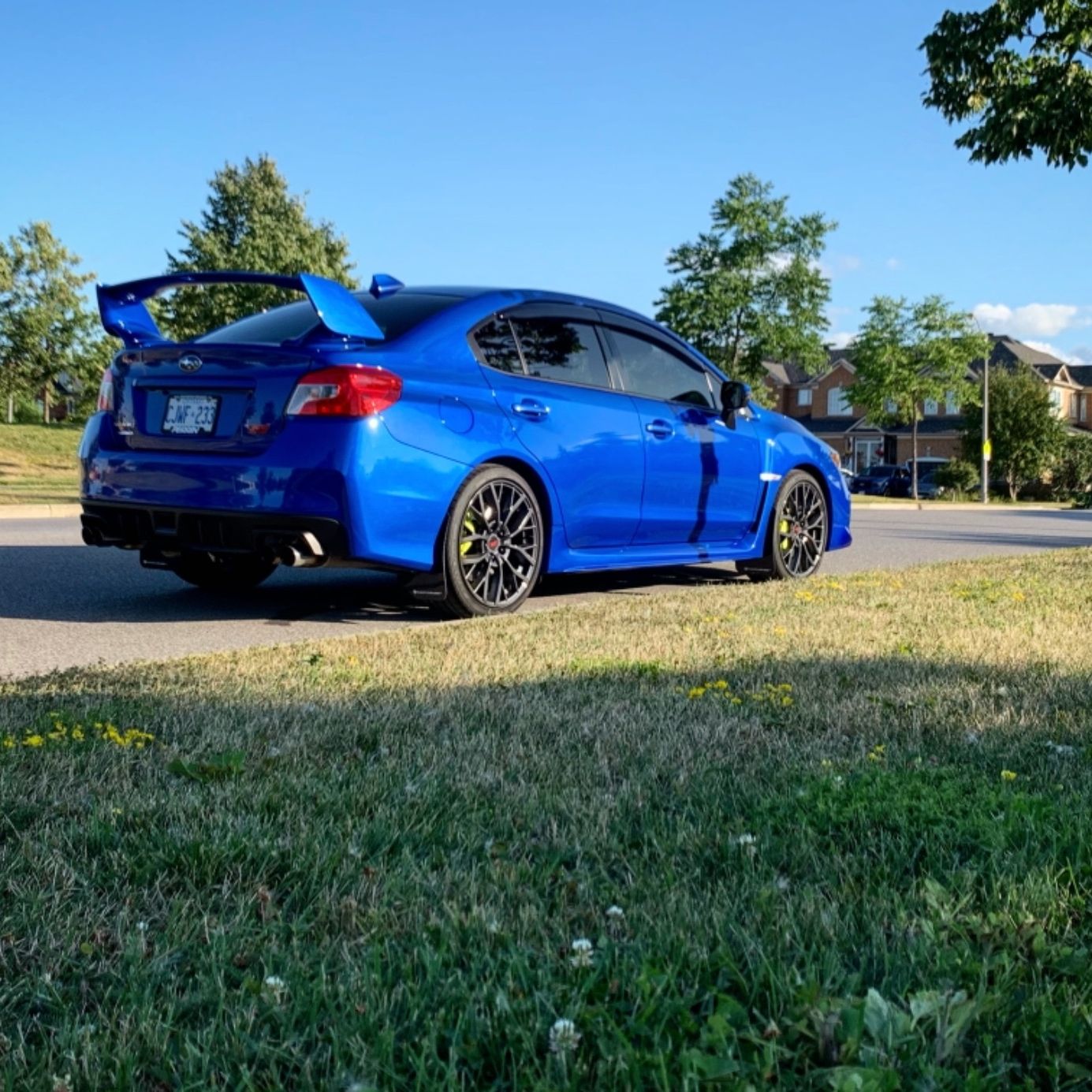 Profile of Eric Truong