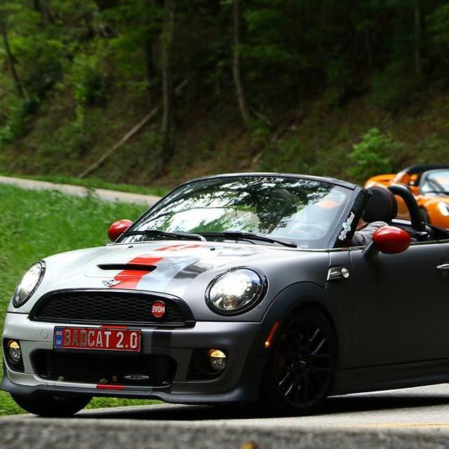 Profile of Catherine Gossett