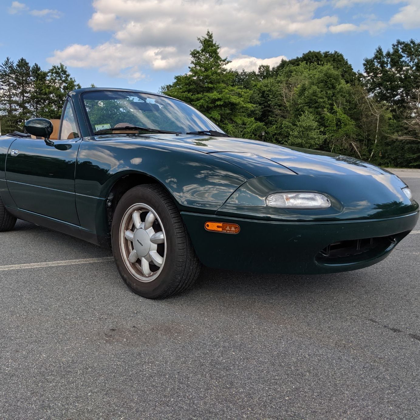 Profile of Lucas Hansen