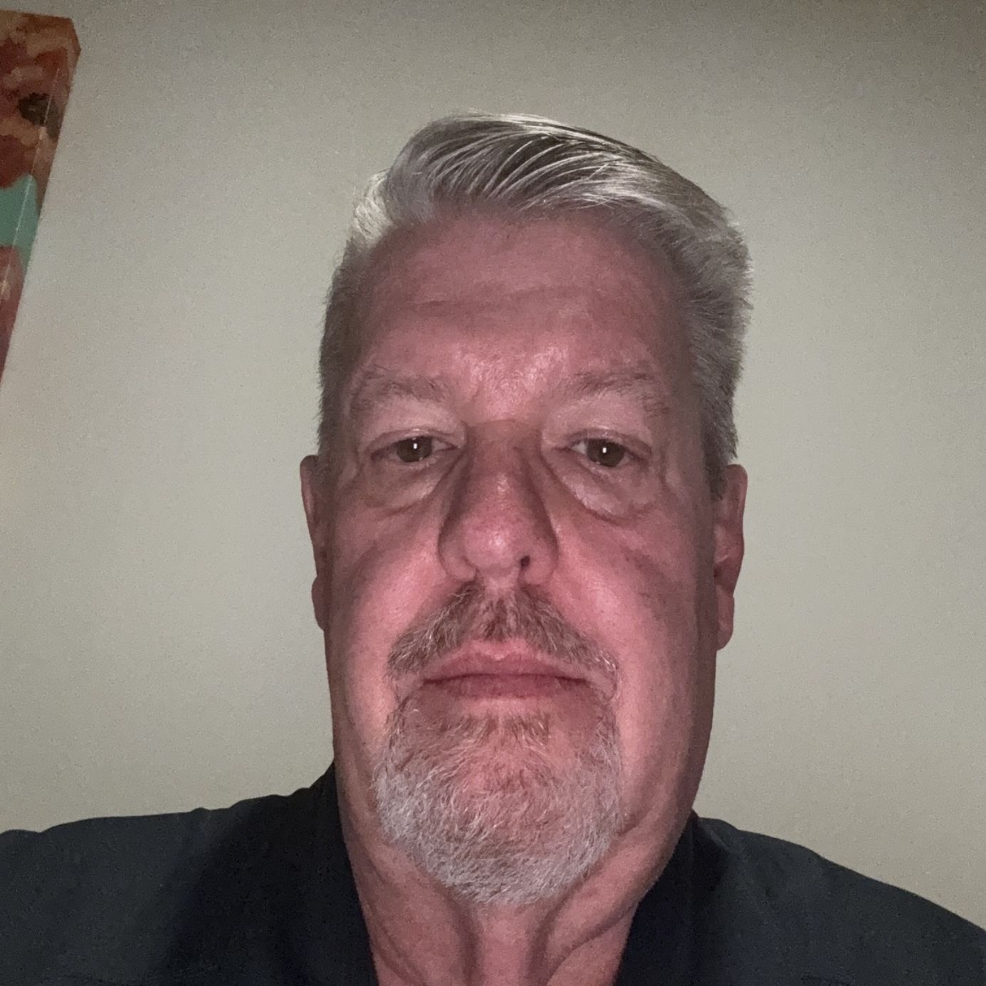 Profile of David Bird