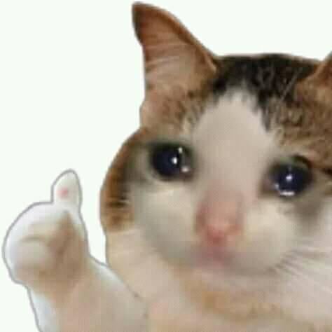 Profile of Nolan Brommer