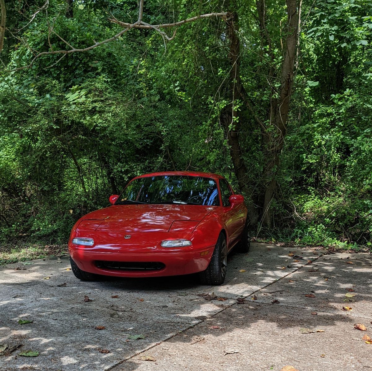 Profile of Austin Jones