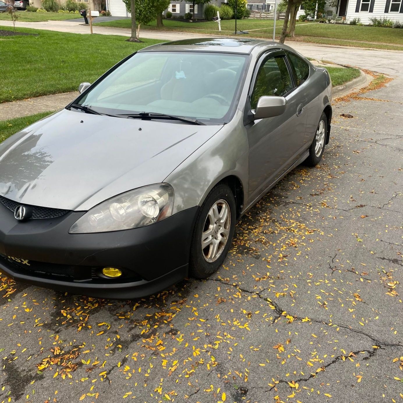 Profile of Thomas Hoster