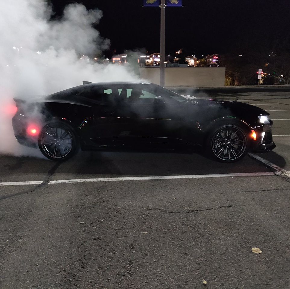 Profile of Nelson Marrotte