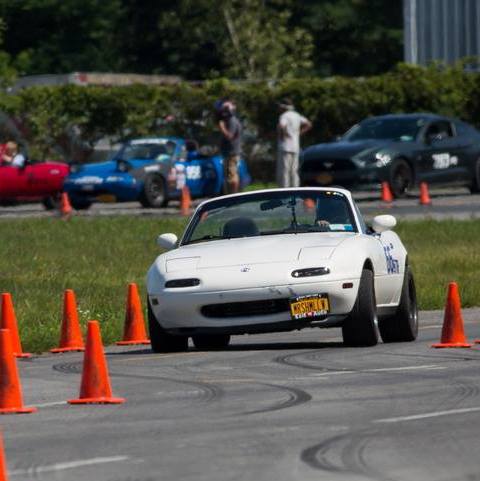 Profile of Cameron Lanphere