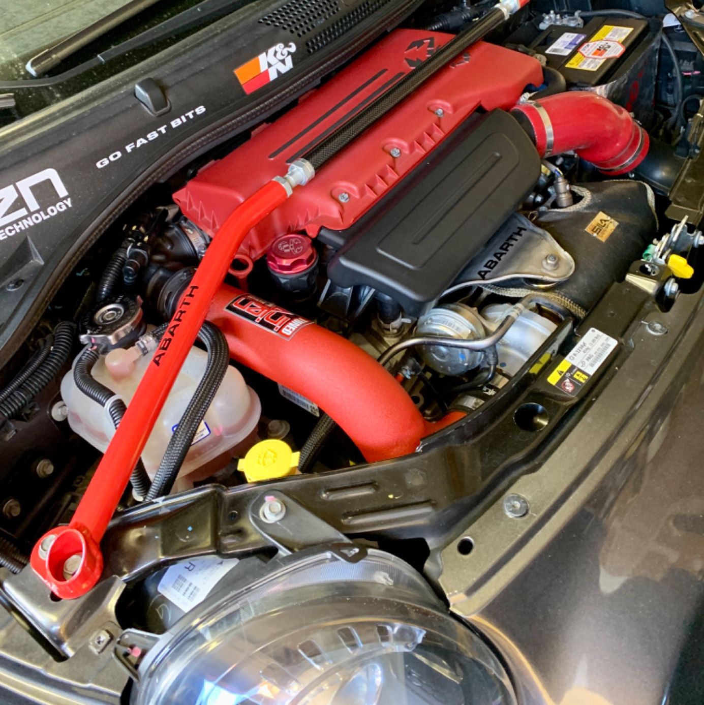 Profile of Steve Lloyd