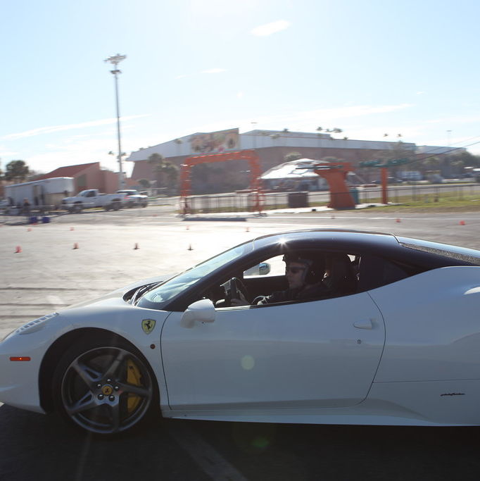 Profile of Michael Nester