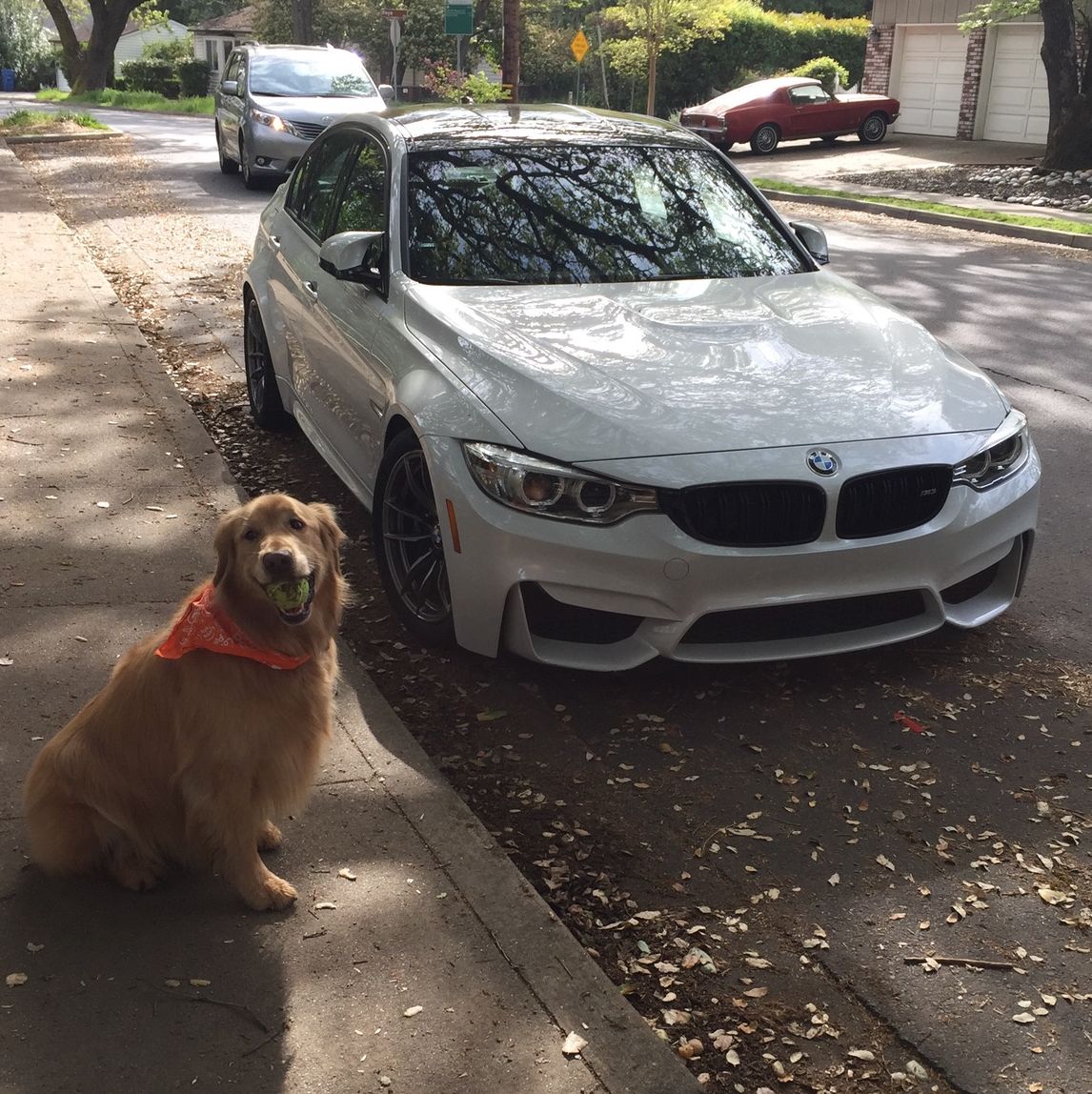 Profile of Nils Kjell