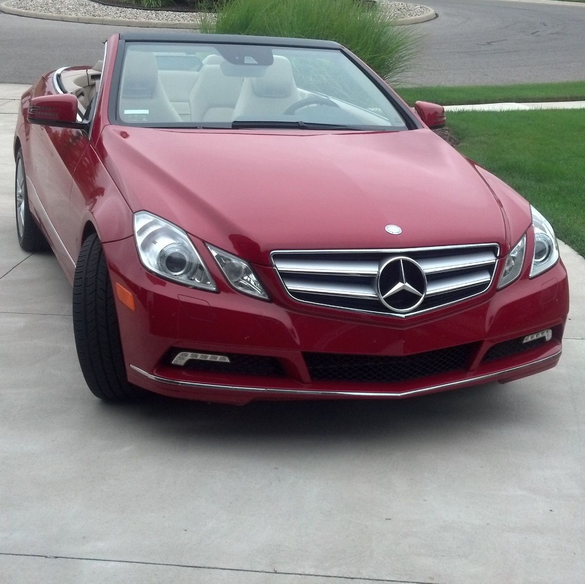 Profile of Alex Novak