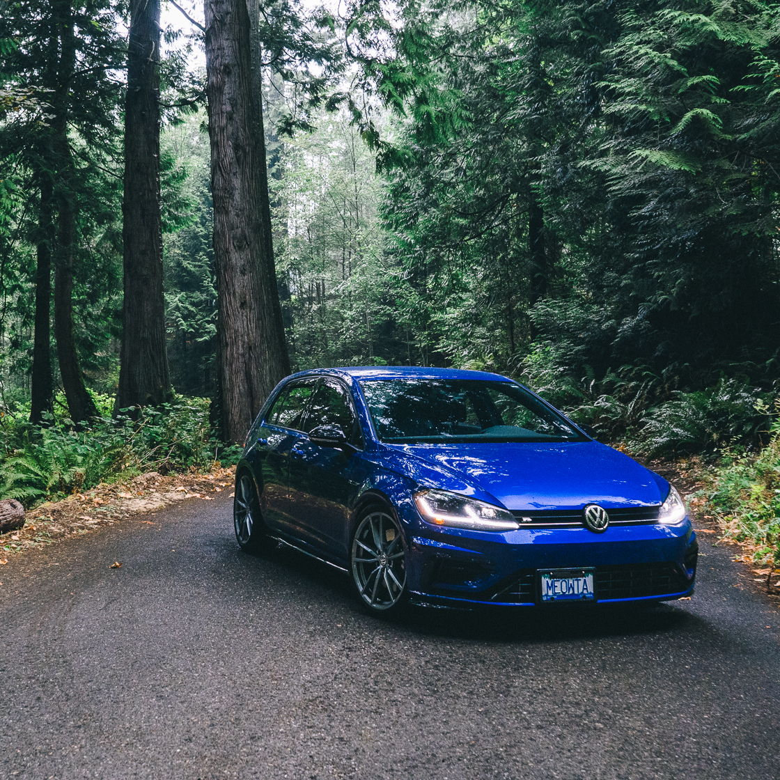 Profile of Bill Kwok