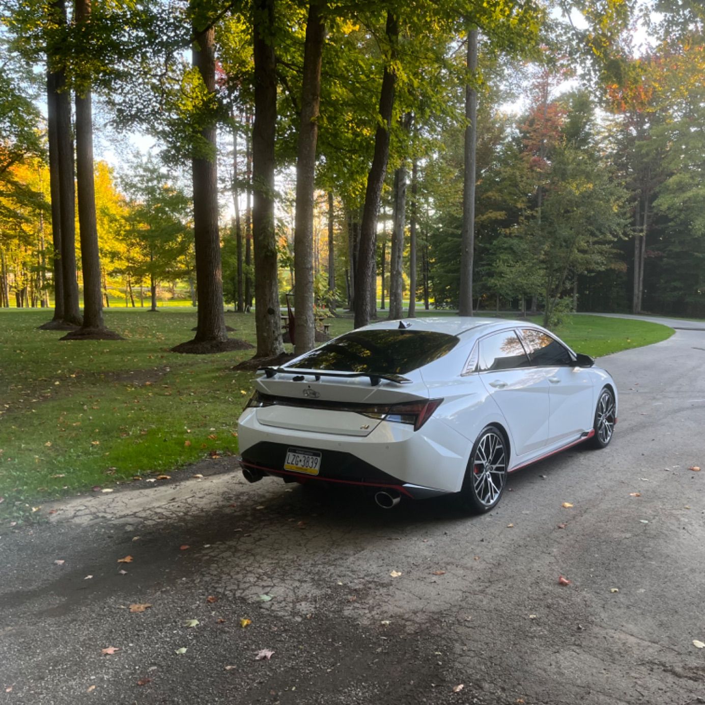 Profile of Jack Hermann