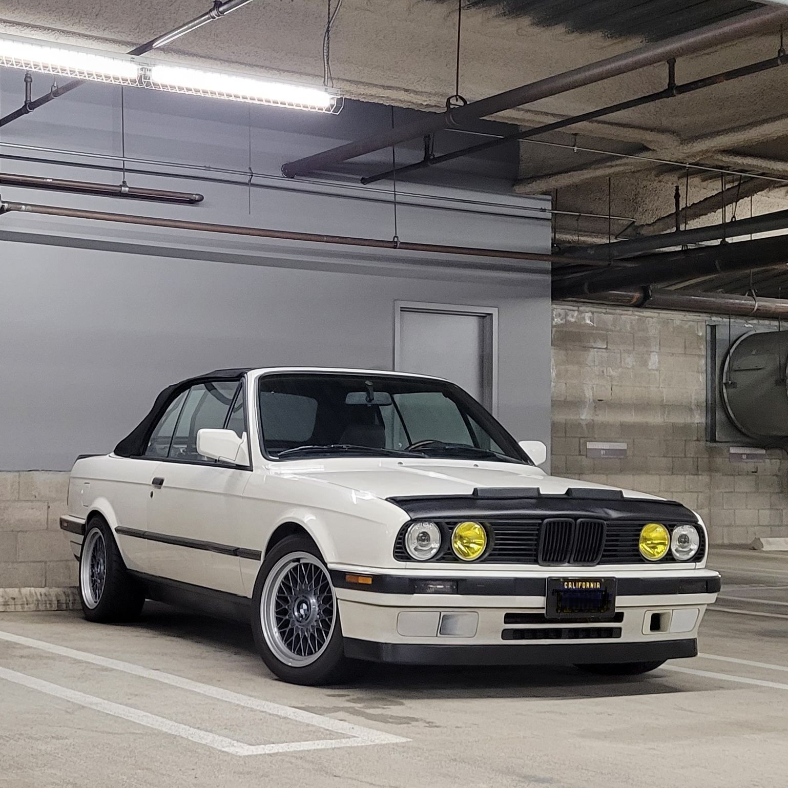 Profile of Marco Lau