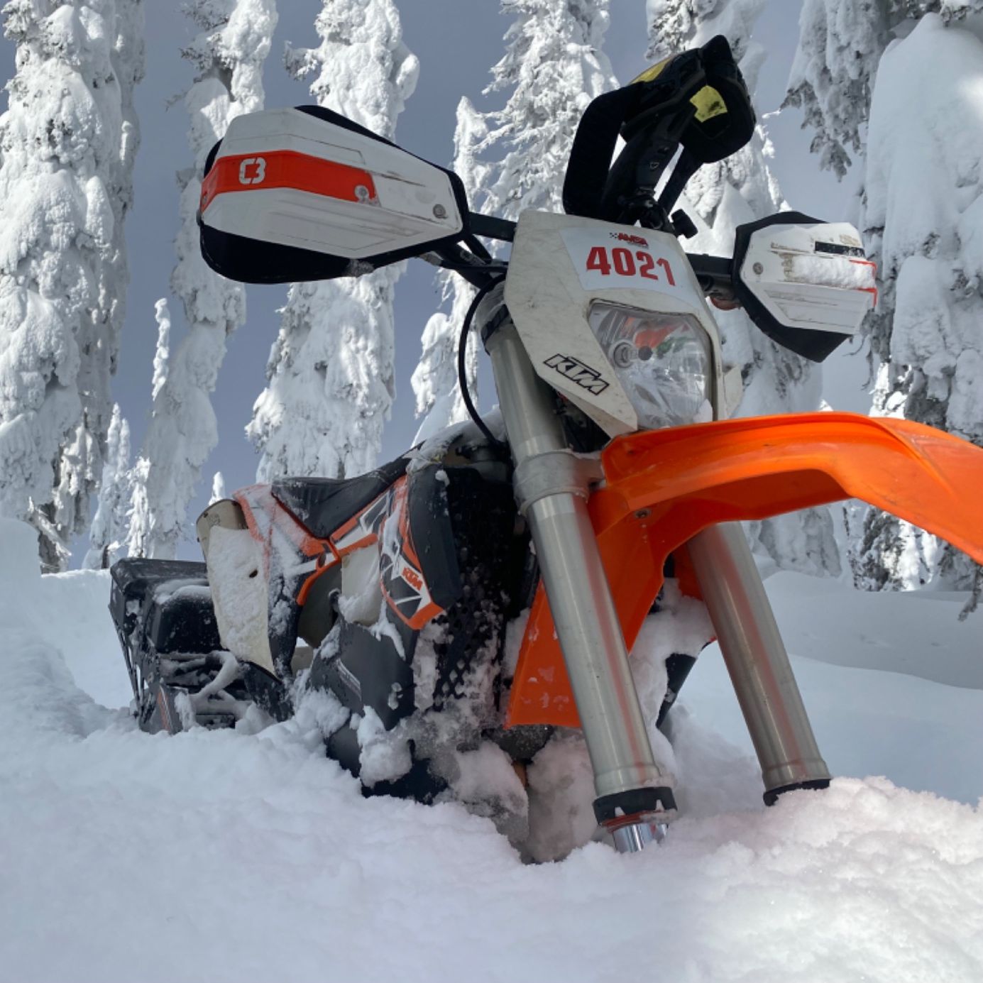 Profile of Berend Ridder