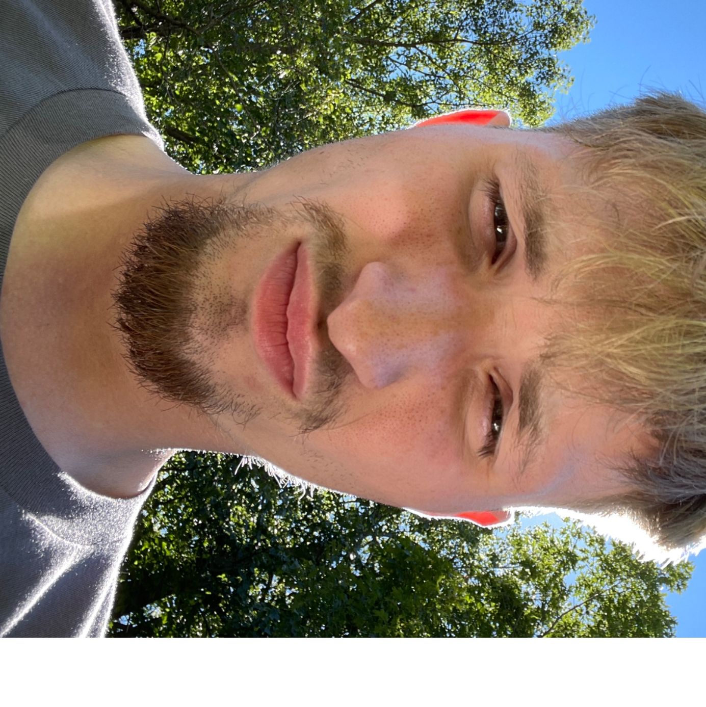 Profile of Collin Drengler