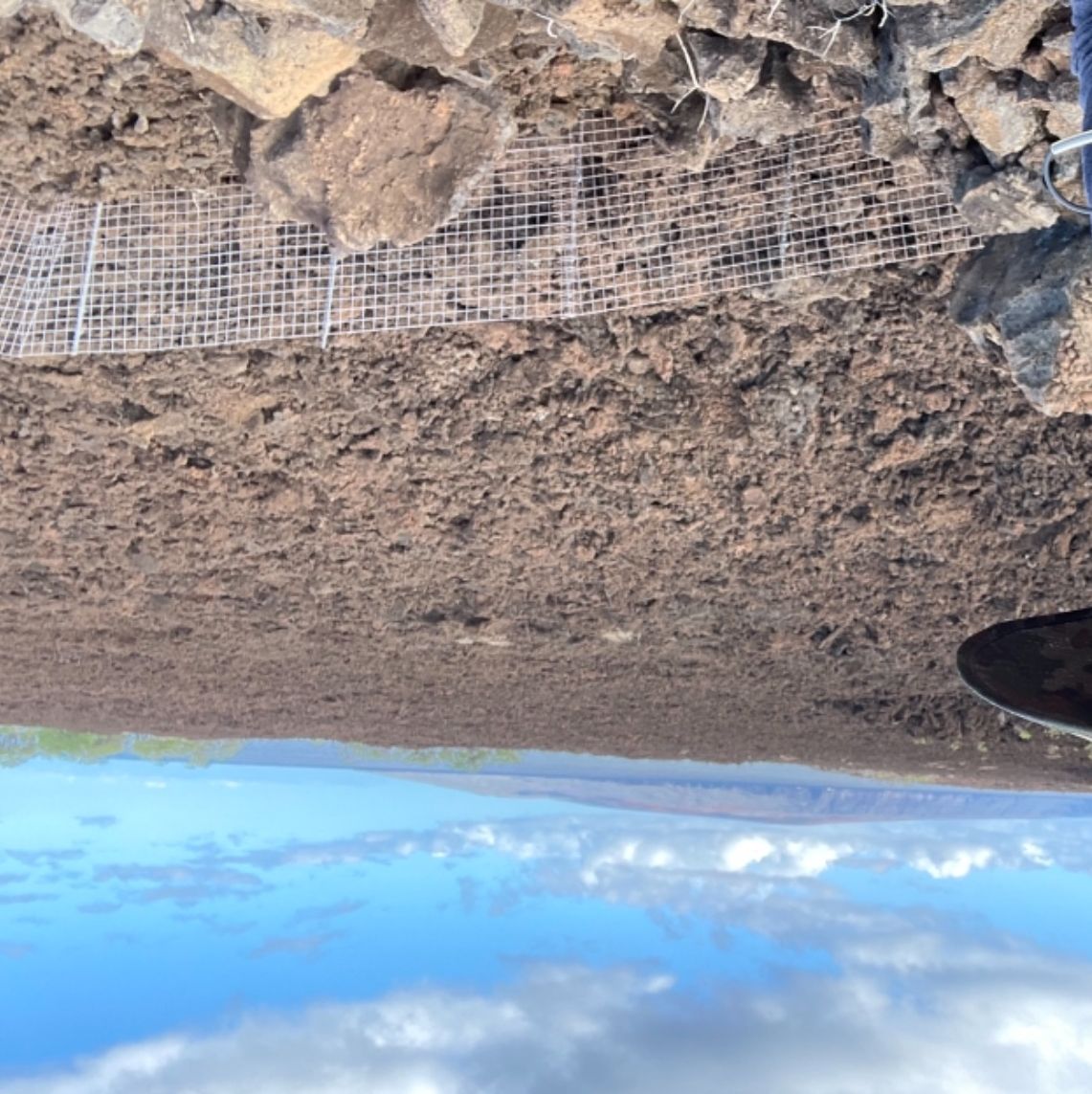 Profile of Ronnie Hoover