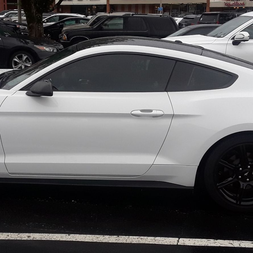 Profile of Michael M