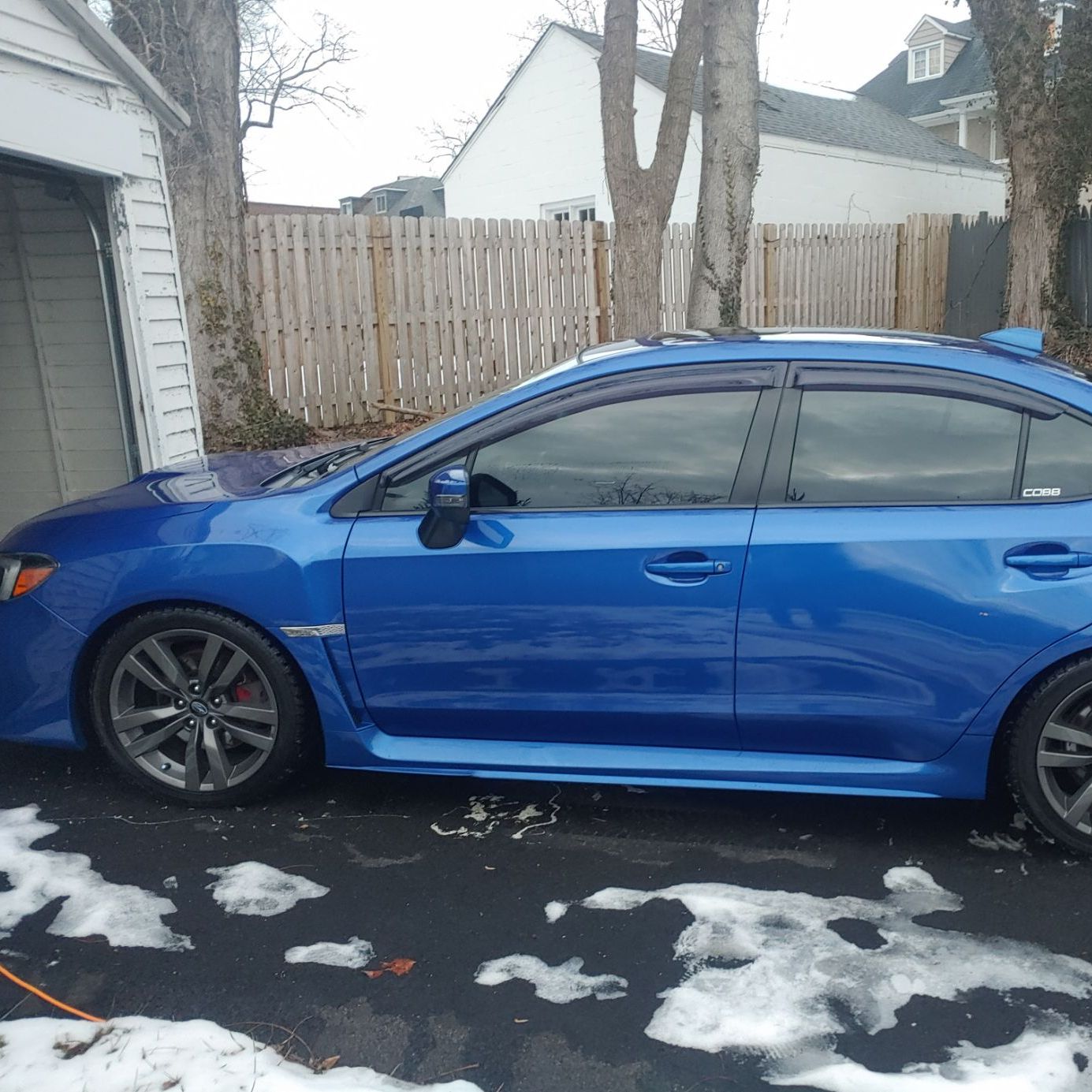 Profile of Carmelo Piccione