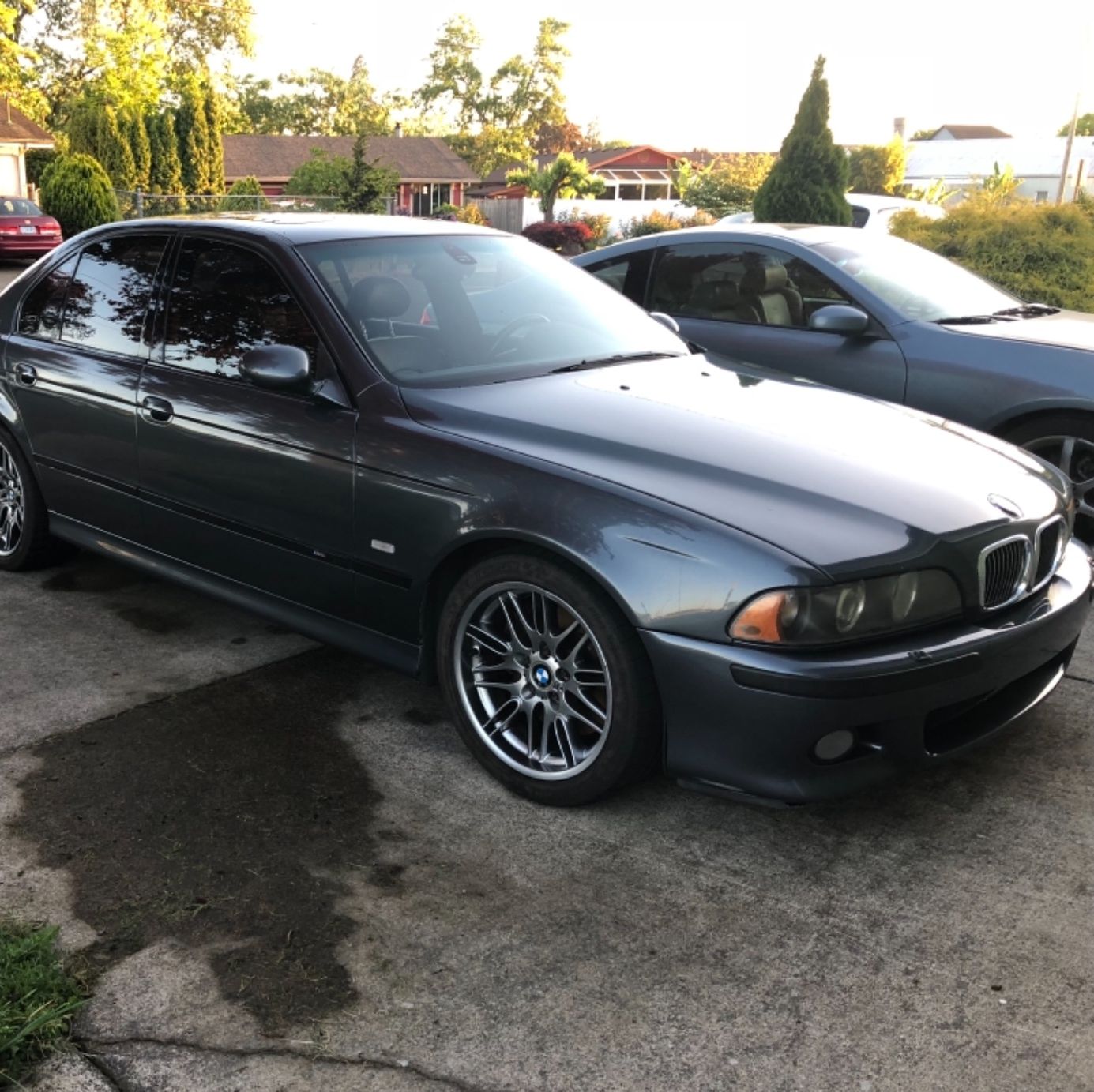 Profile of Pierce Guinnane