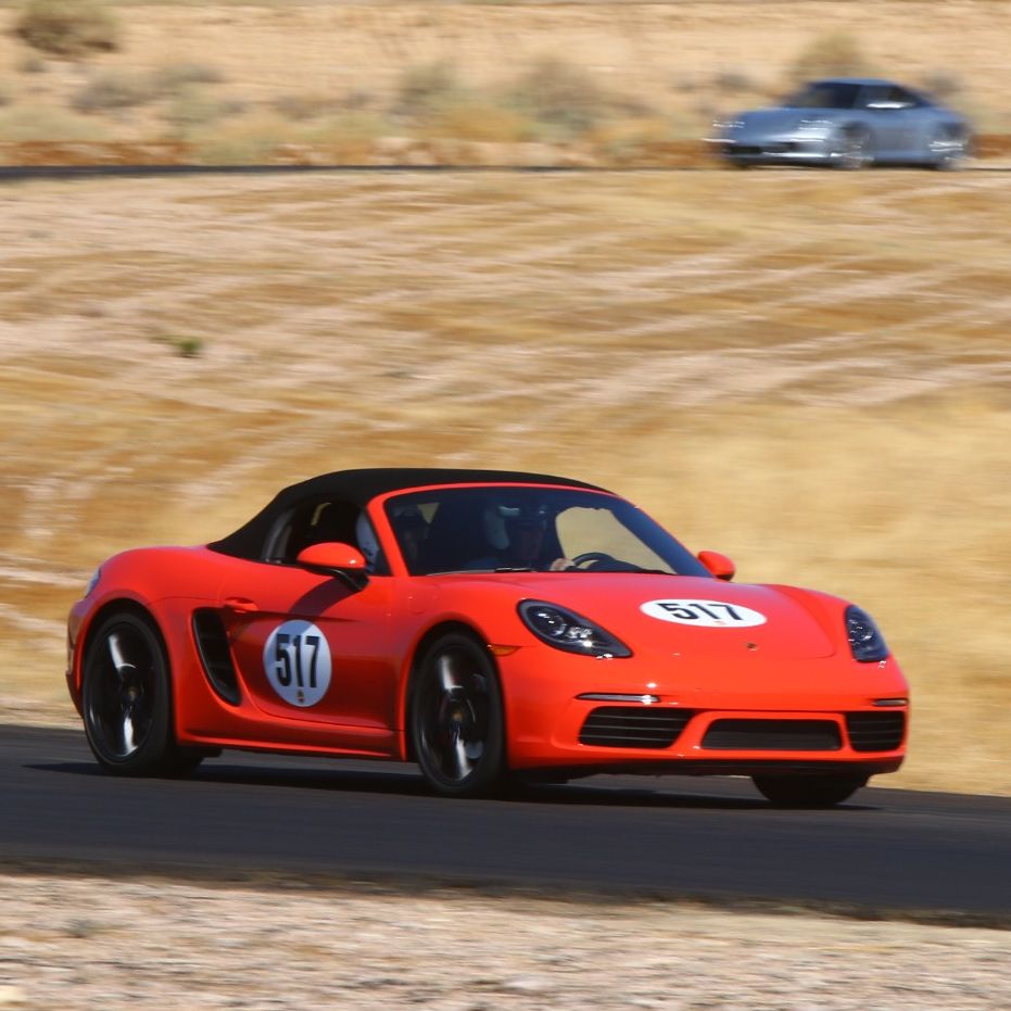 Profile of Manfred Schmiedl