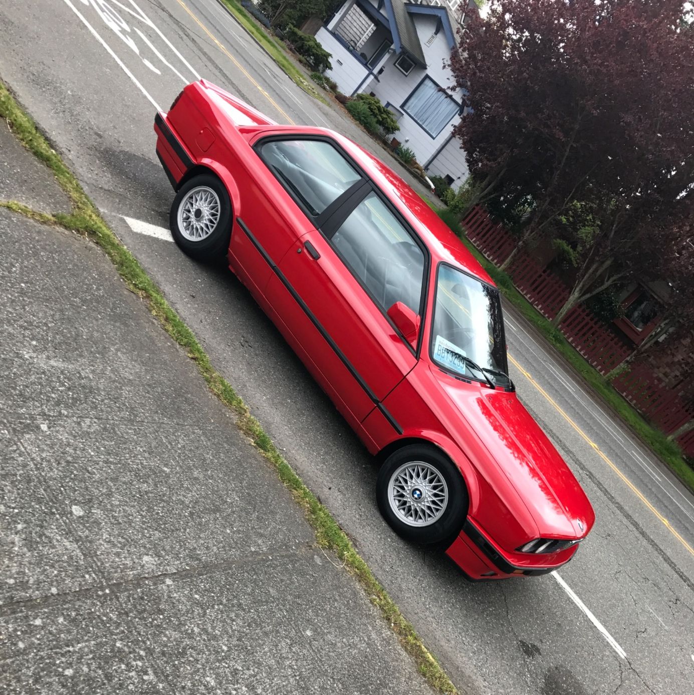 Profile of Caesar Stokes