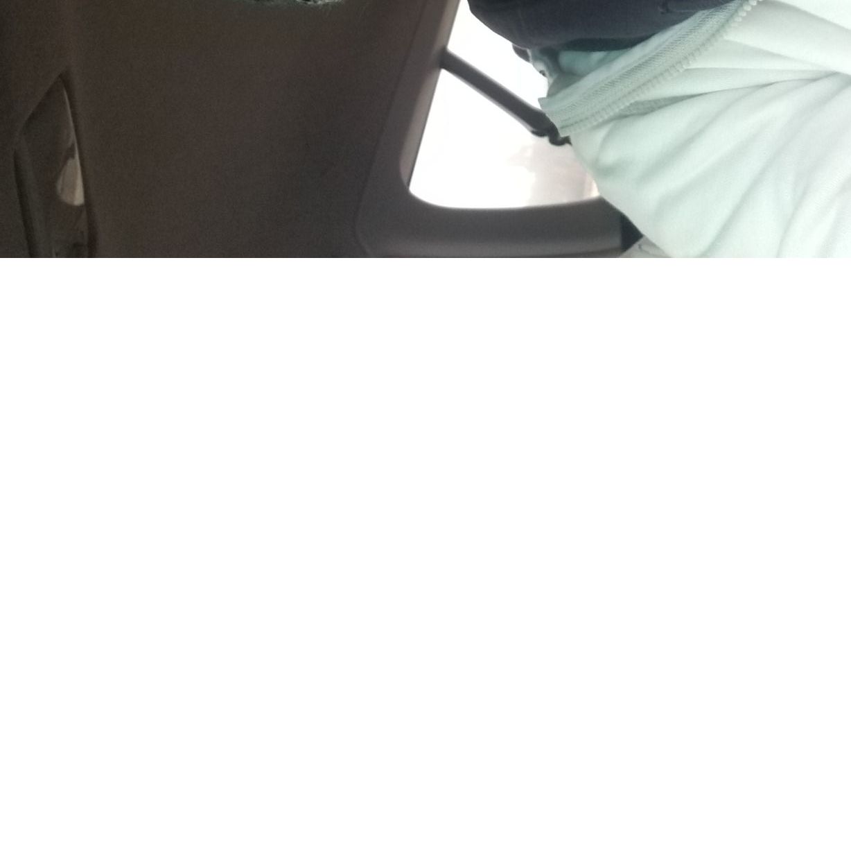 Profile of Abigail Elliott