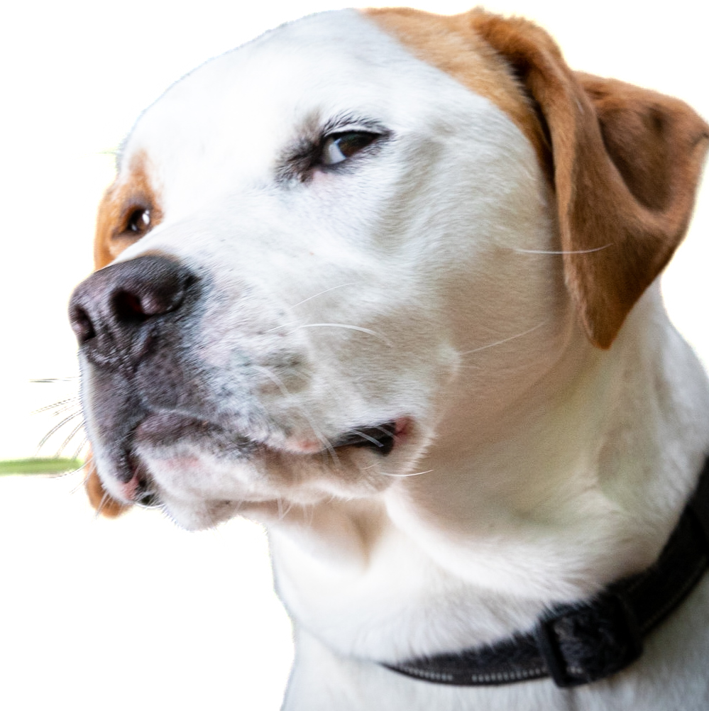 Profile of Sterling Christenson