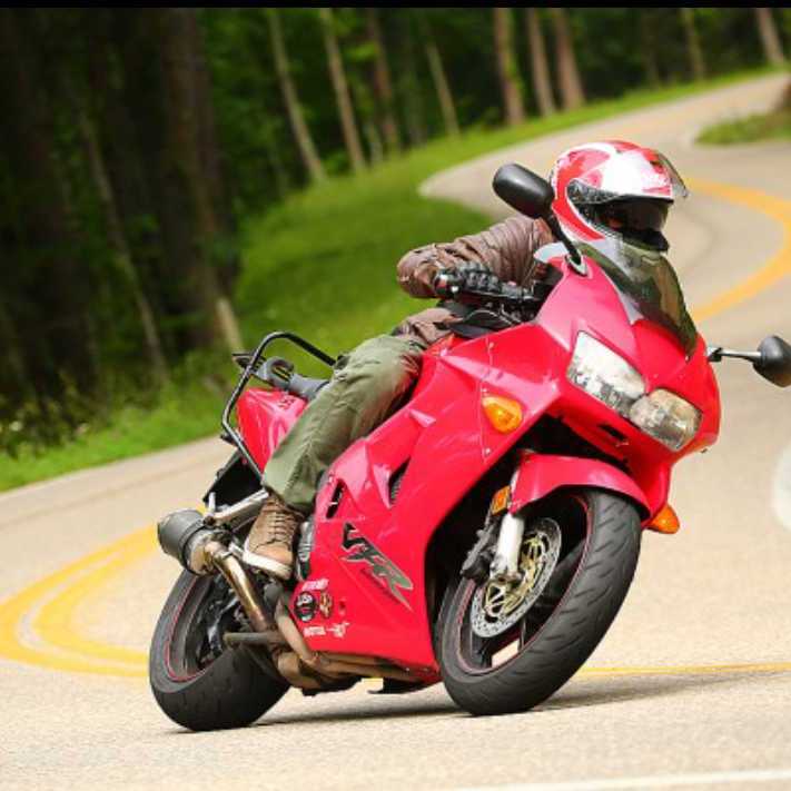 Profile of Nick Fiorilli