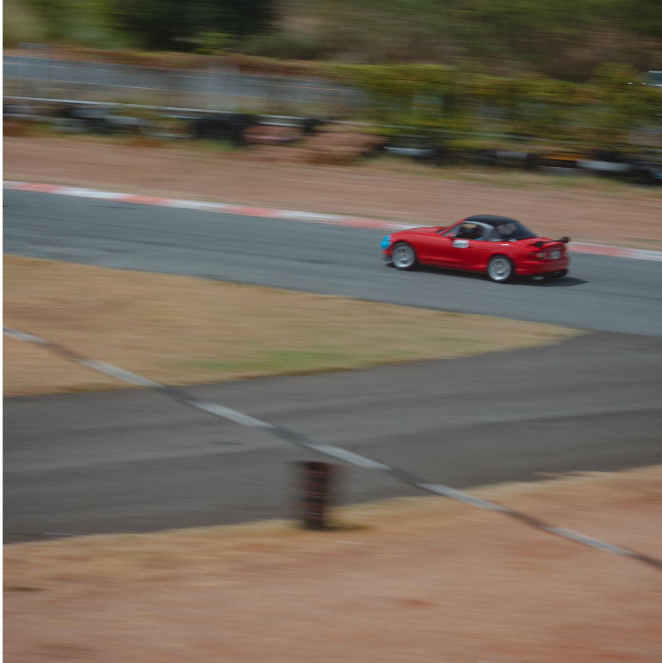 Profile of Carlos Melendez