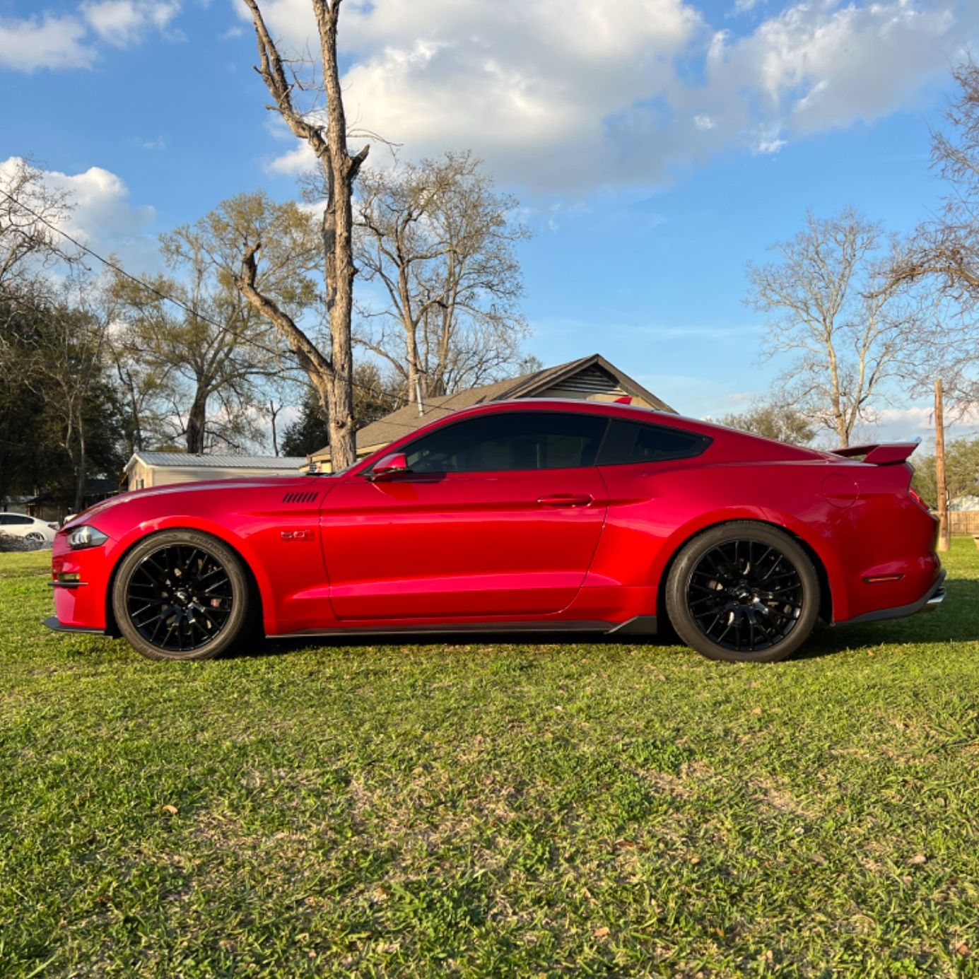 Profile of Terry Duplessis