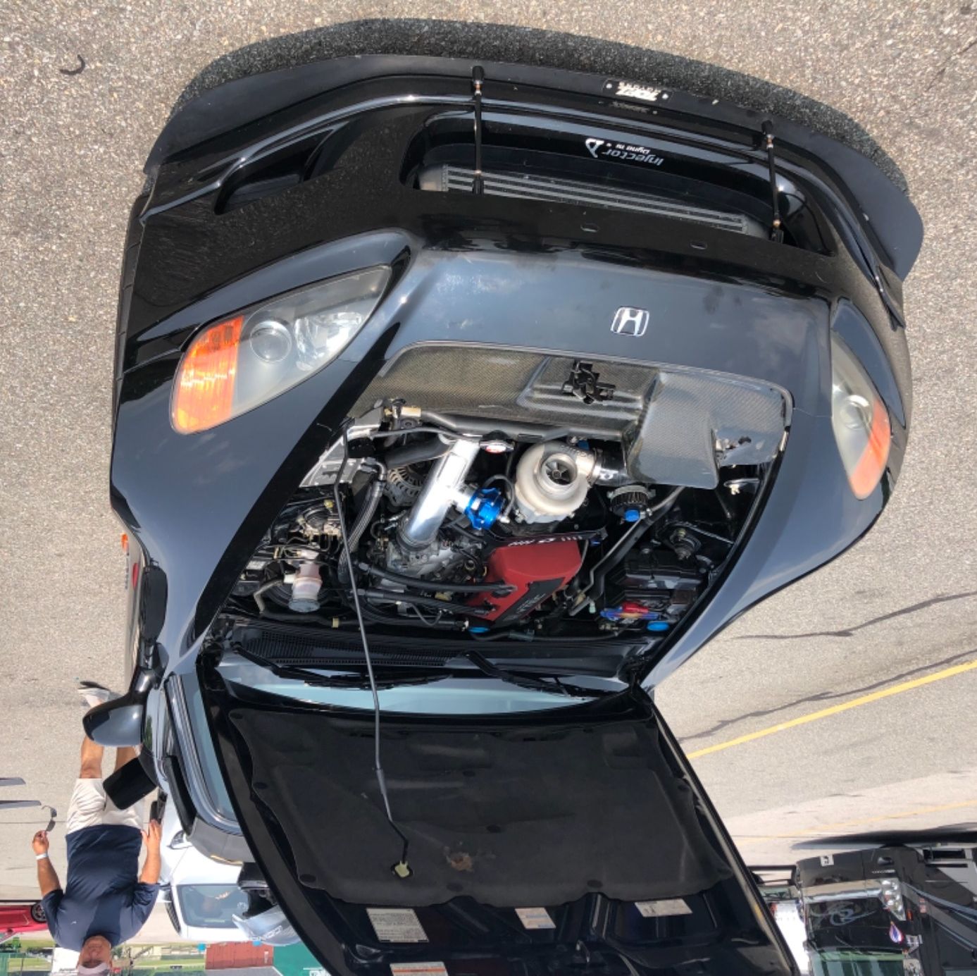 Profile of Matthew Lacenere