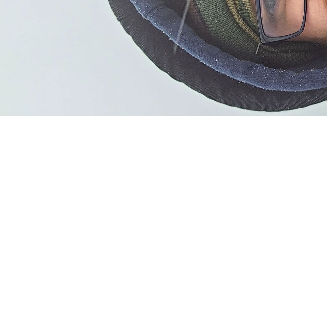 Profile of Taylor Ryan