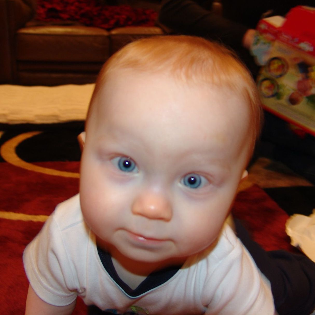 Profile of Wesley Nicholson