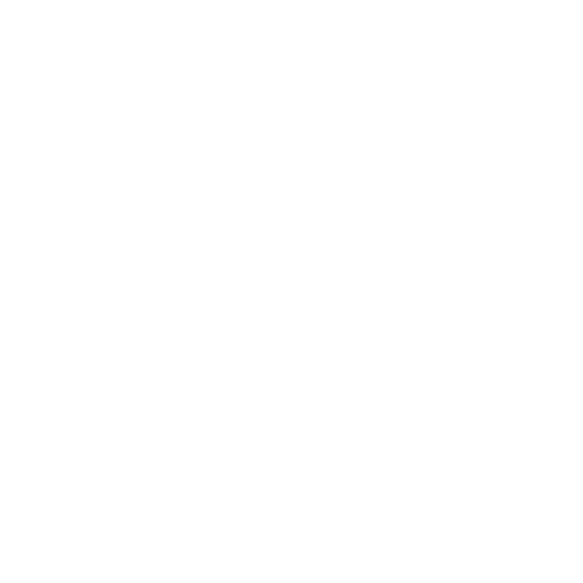 Profile of Steven Anderson