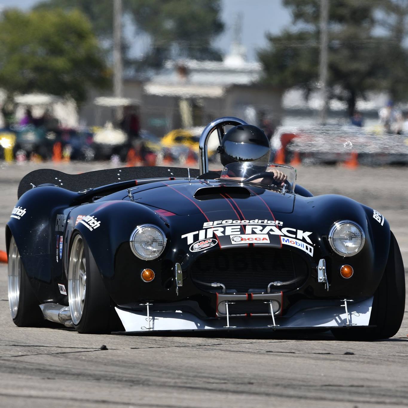 Profile of David Lousteau