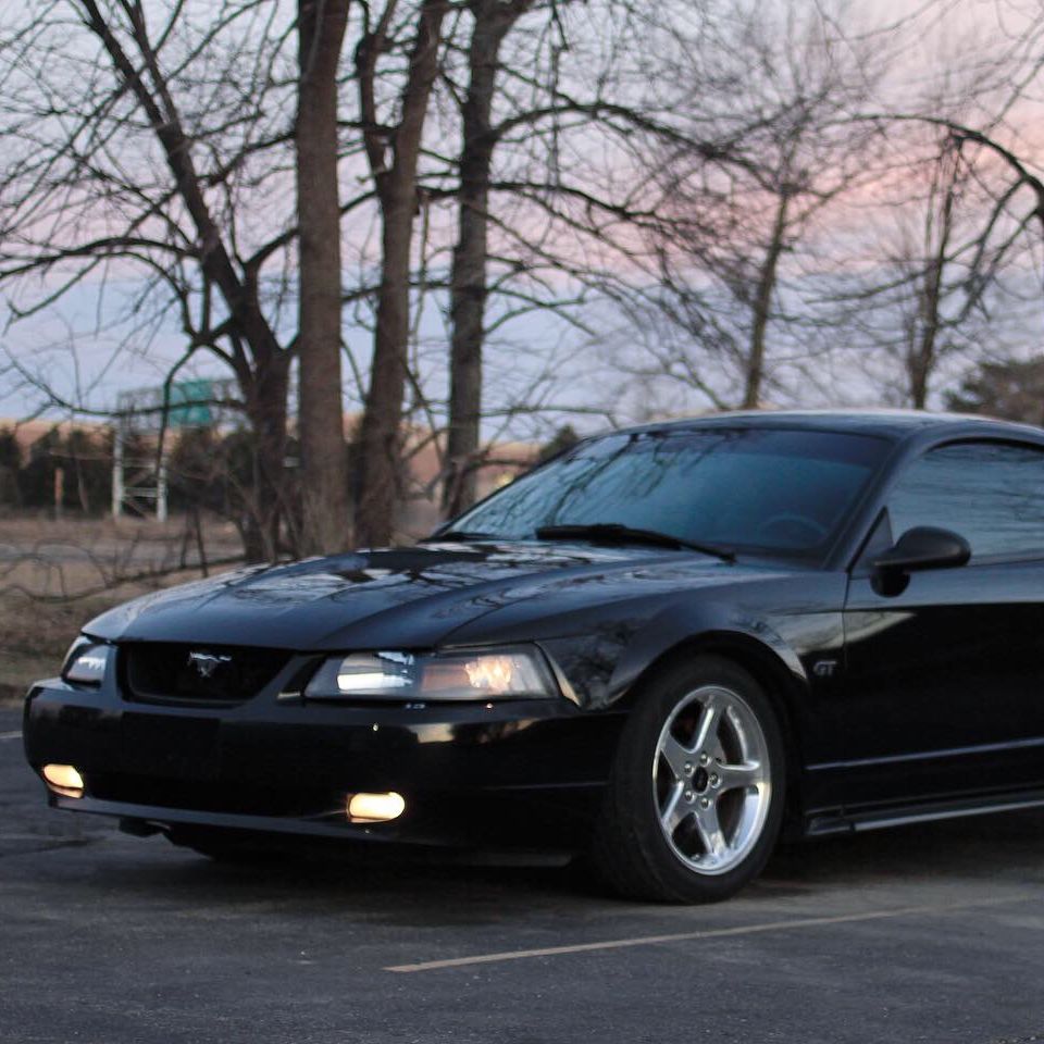 Profile of Bradley Daniels