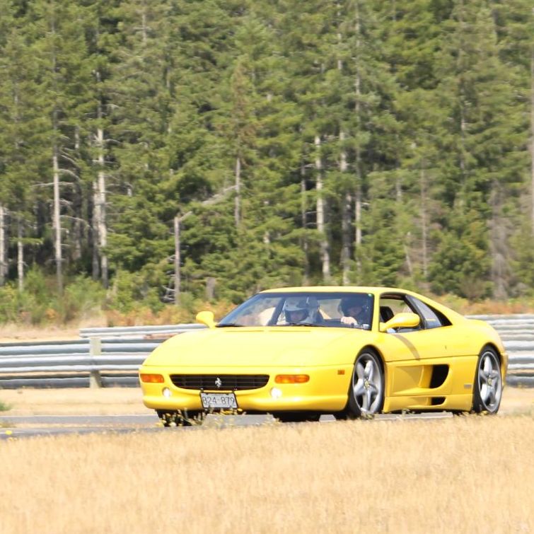 Profile of Damir Hot