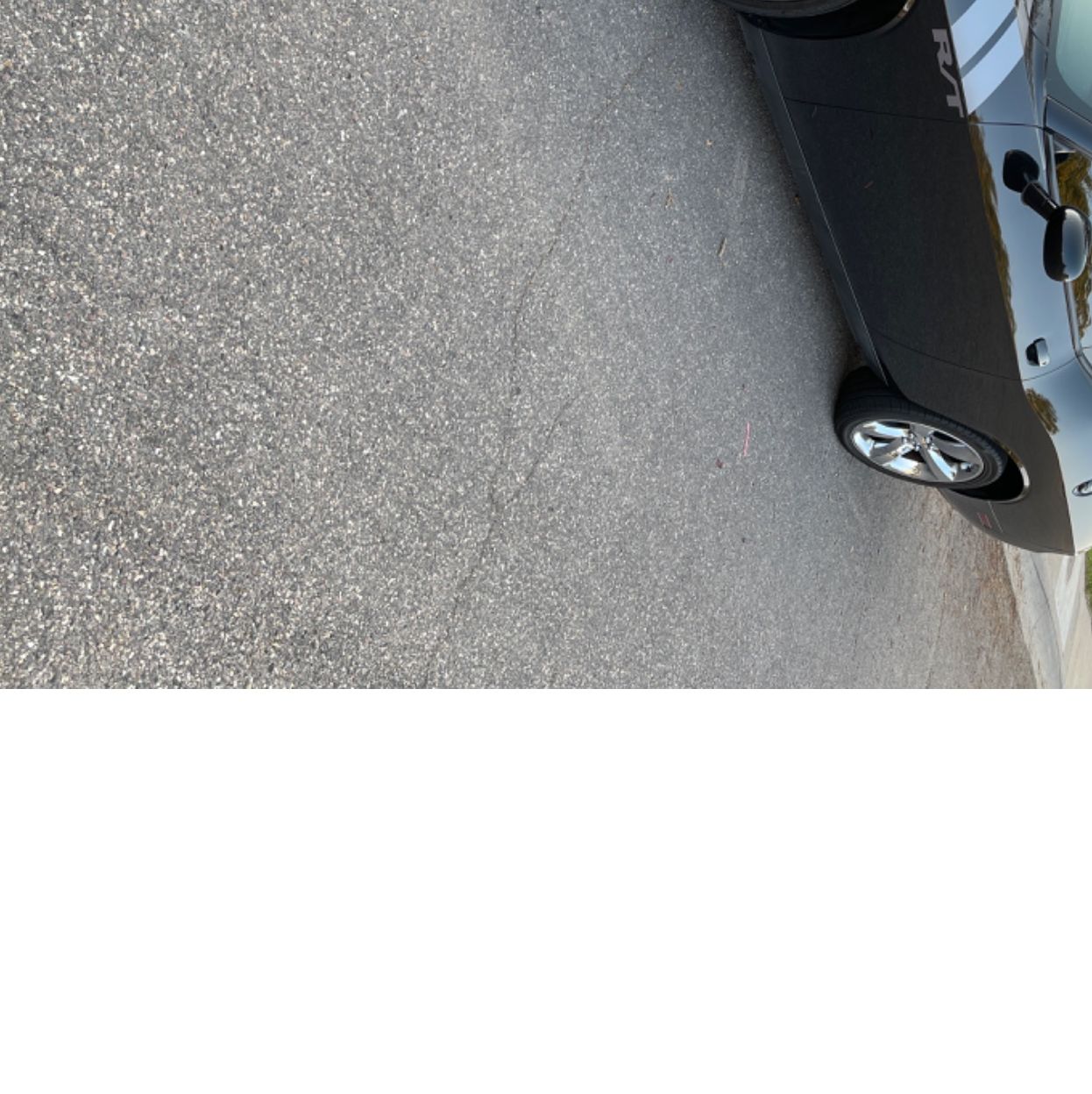 Profile of Tony Guerrero