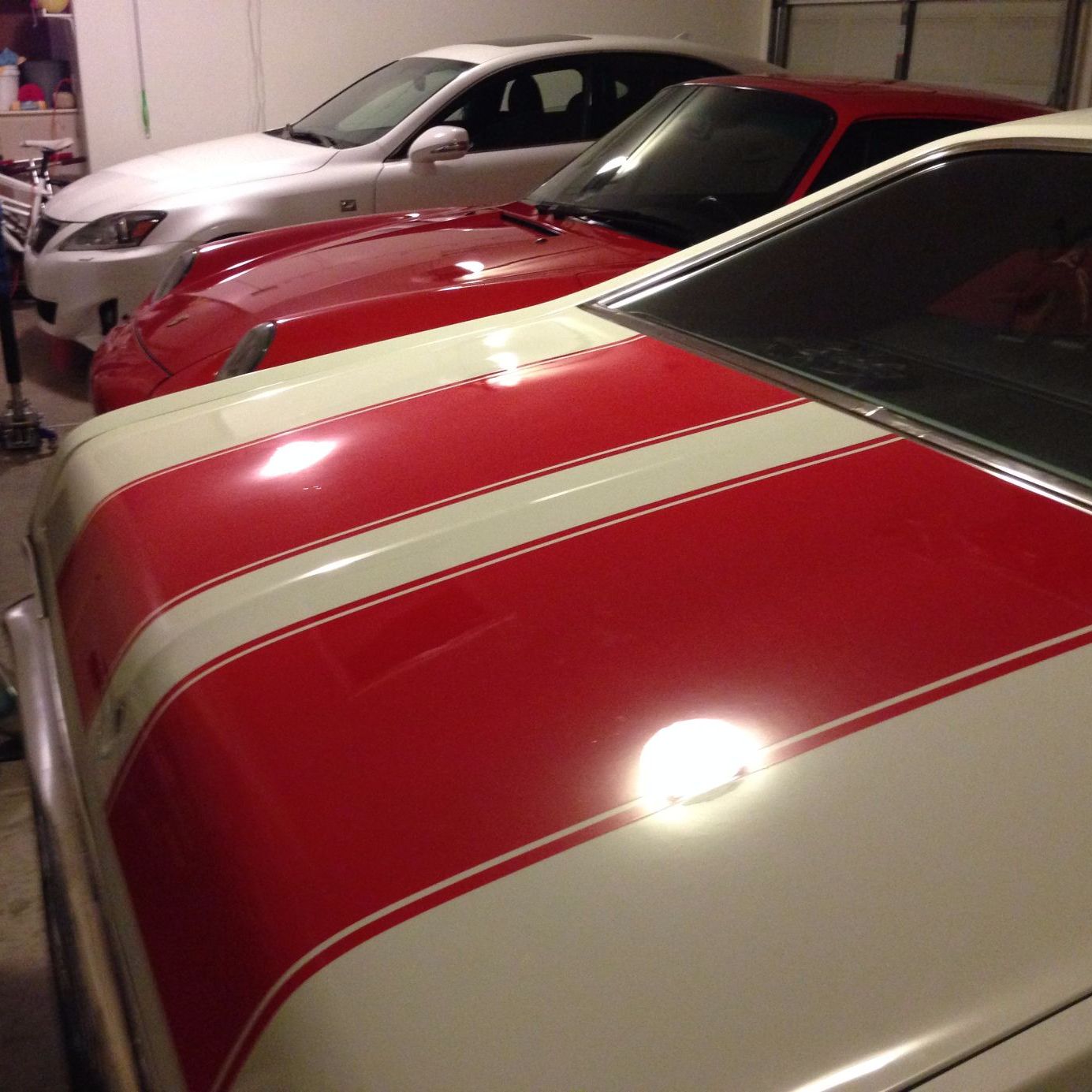 Profile of Travis Mullins